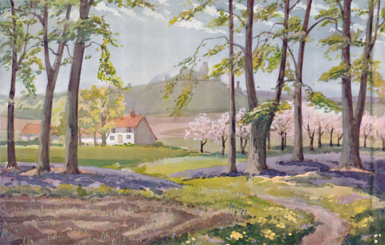Våren - De fysiske, kjemiske og biologiske endringene som ble utført av solen i løpet av året, 1935. av Unbekannt