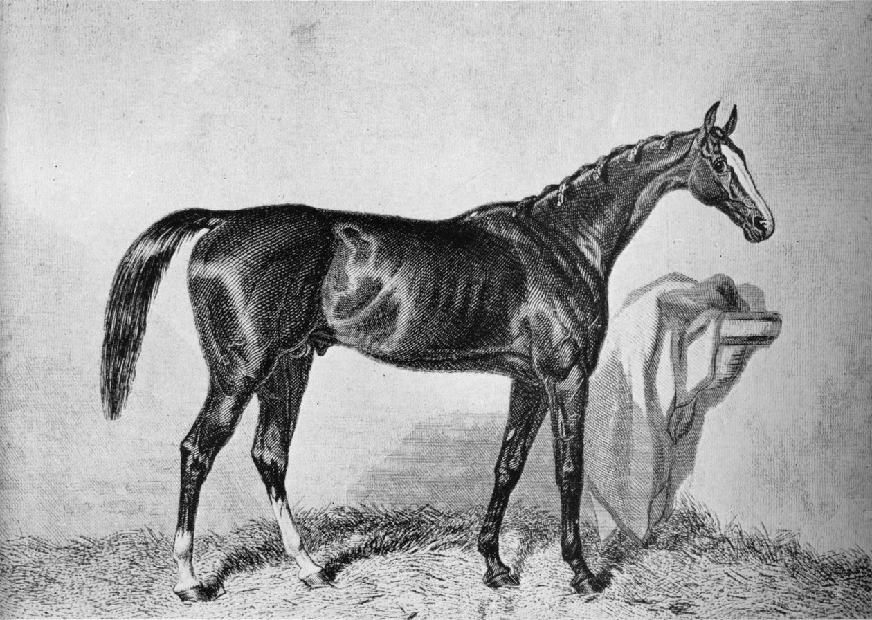 St. Albans, ca. 1800-tallet, 1911 av Unbekannt