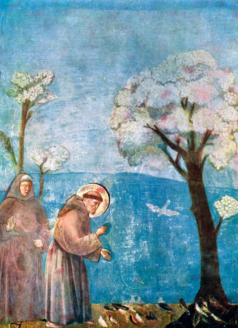 Den hellige Frans forkynner for fuglene, 1297-1299, c1900-1920 av Unbekannt