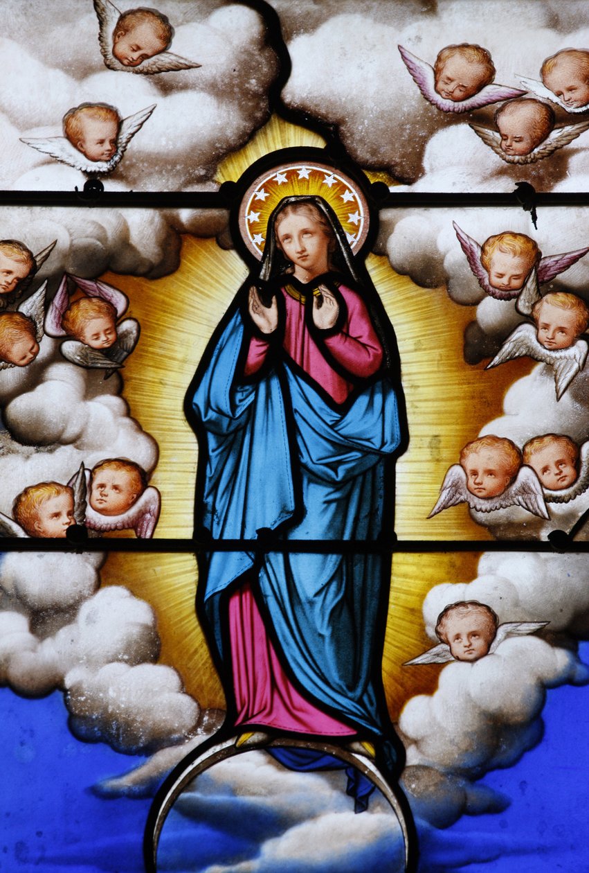 Farget glass i Saint-Louis katedral: Jomfru Maria, Blois, Frankrike av Unbekannt