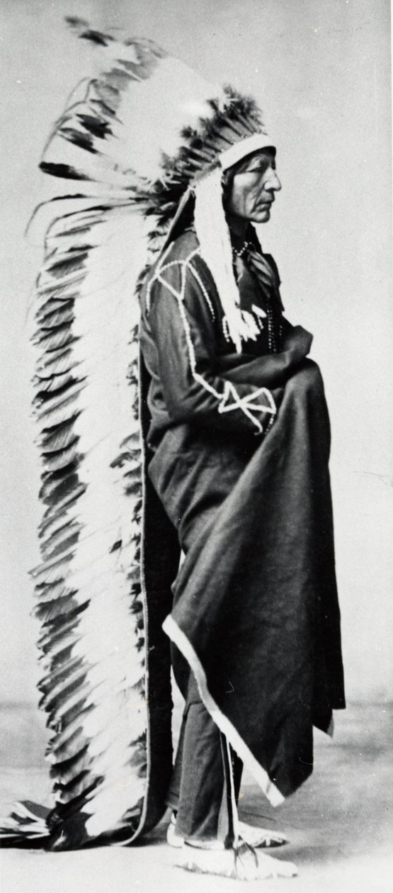 Stående bjørn, sjef for Dakota Sioux, nordamerikanske sletteindianere, c1885-c1890 av Unbekannt