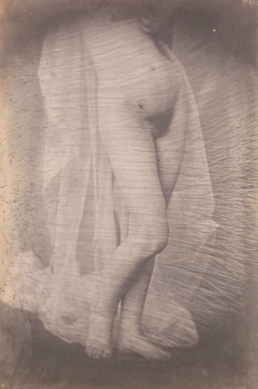 [Stående kvinne naken], ca. 1856. av Unbekannt
