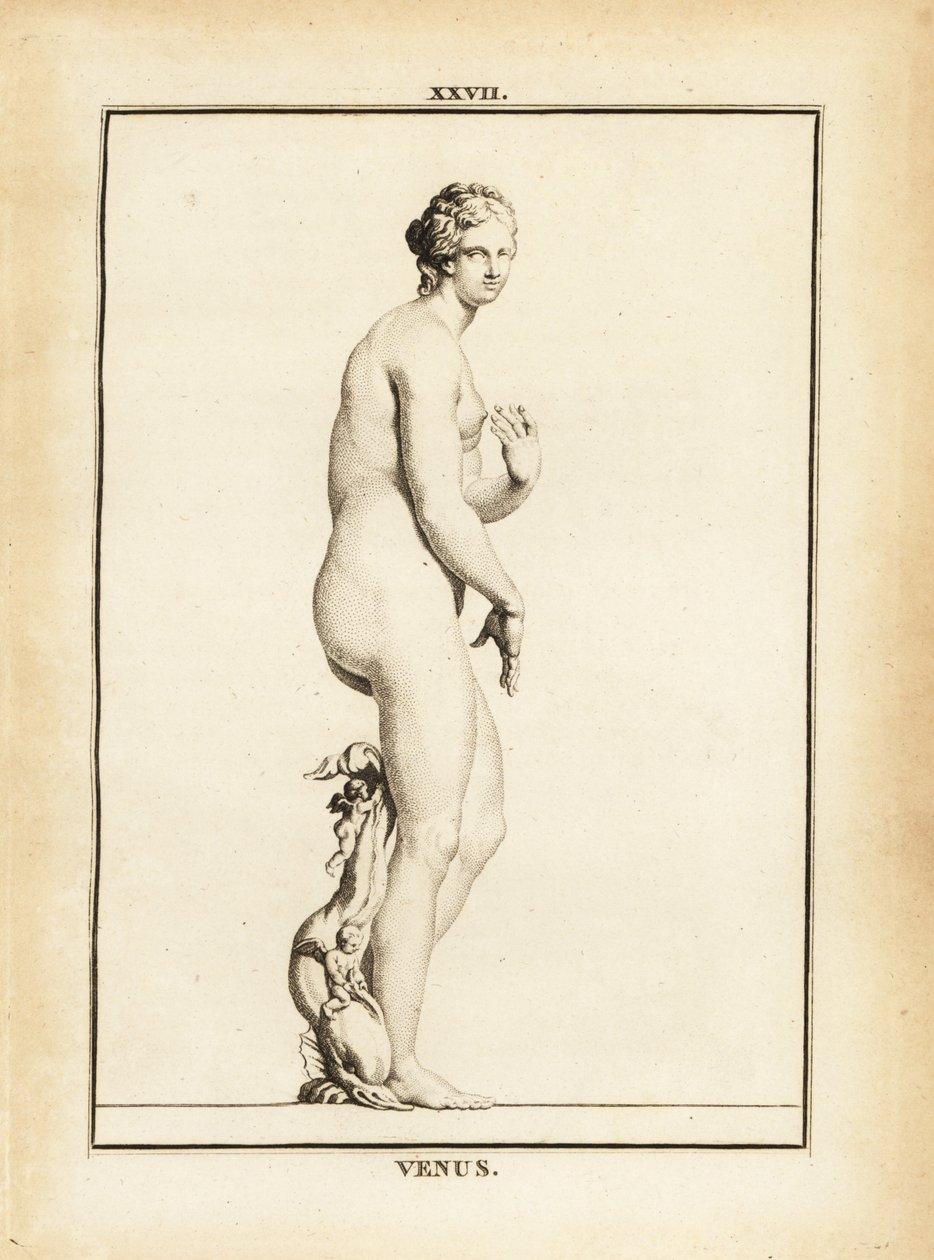 Statue av Venus, romersk gudinne for kjærlighet, skjønnhet, sex og fruktbarhet av Unbekannt