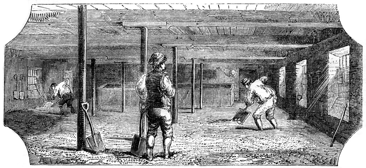 Steeping, couching and flooring malt, 1886 av Unbekannt