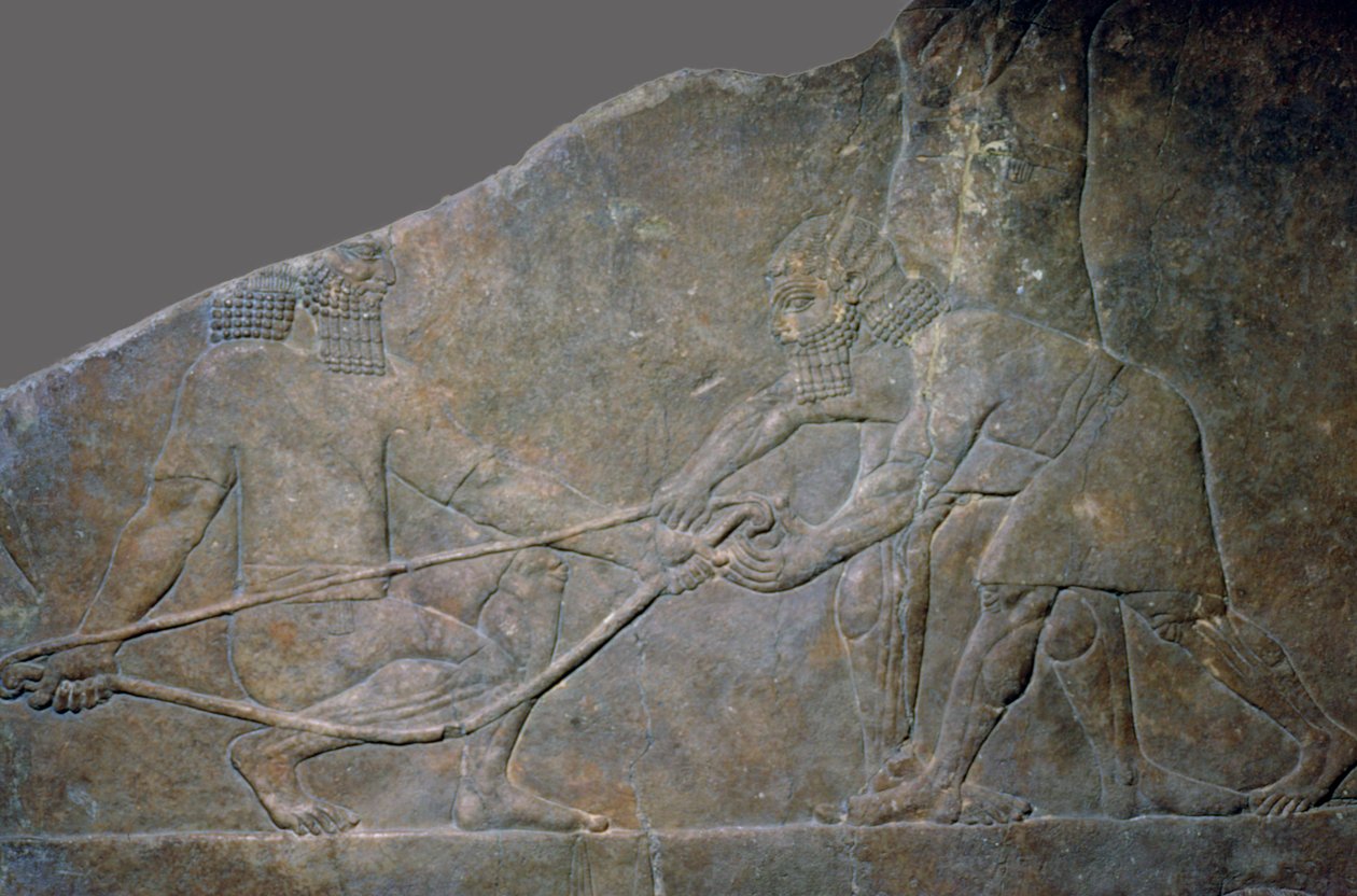 Steinpanel fra North Palace of Ashurbanipal, Nineveh, Nord-Irak, Neo-Assyrian, c645 BC av Unbekannt