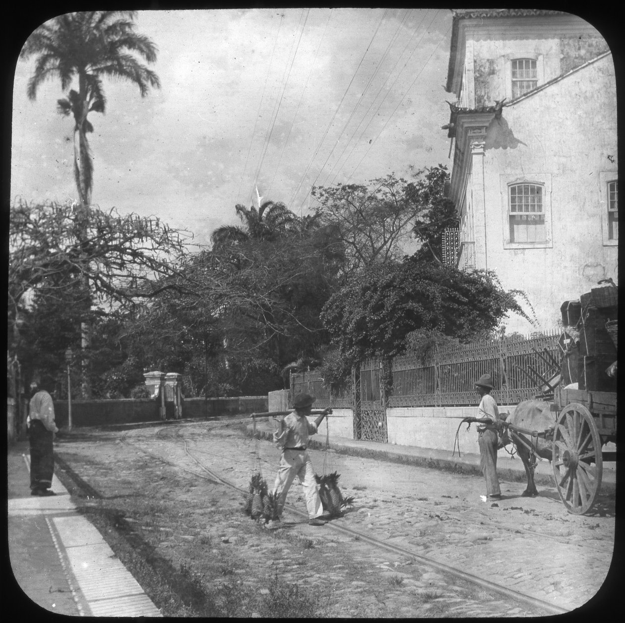 Gatebilde, Pernambuco, Brasil, slutten av 1800- eller begynnelsen av 1900-tallet av Unbekannt