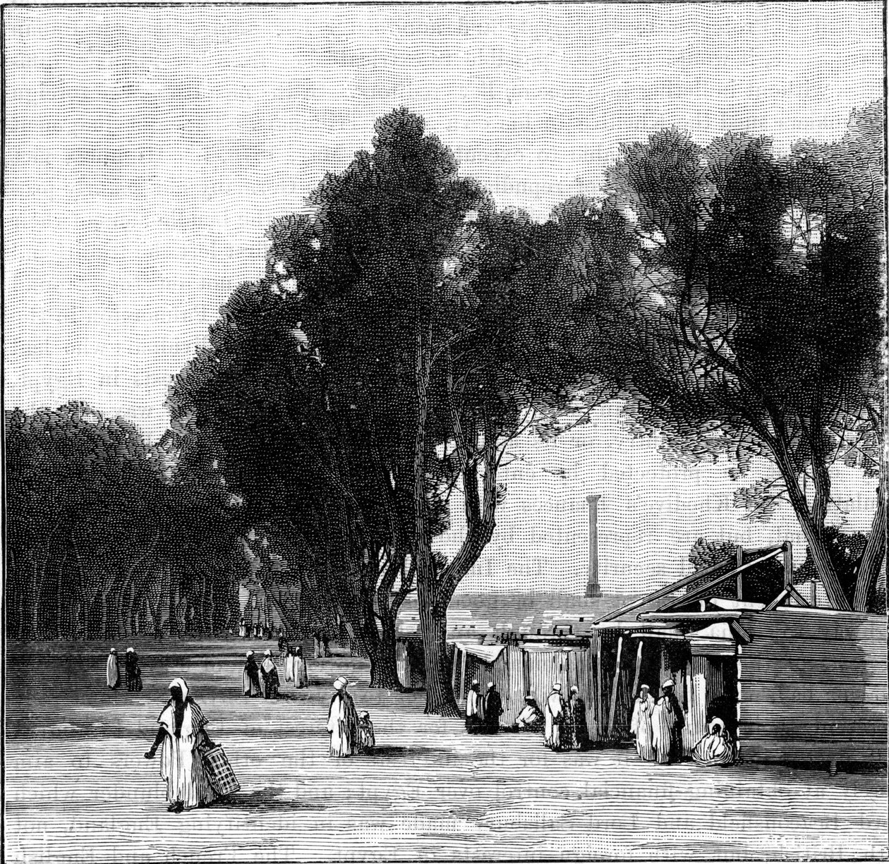 Gatebilde med Pompeys-søylen i det fjerne, Alexandria, Egypt, 1900 av Unbekannt