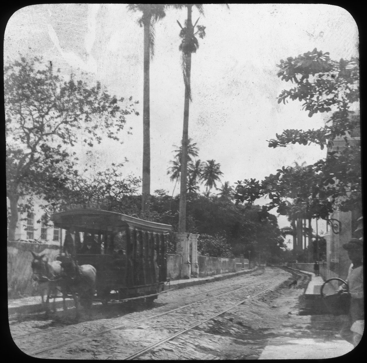 Gatebilde med hestetrukket trikk, Pernambuco, Brasil, slutten av 1800- eller begynnelsen av 1900-tallet av Unbekannt