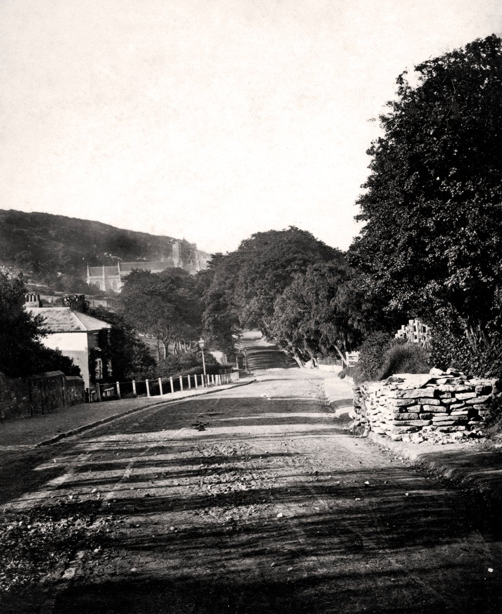 Gate gjennom en dal i Hastings, Sussex, tidlig på 1900-tallet av Unbekannt