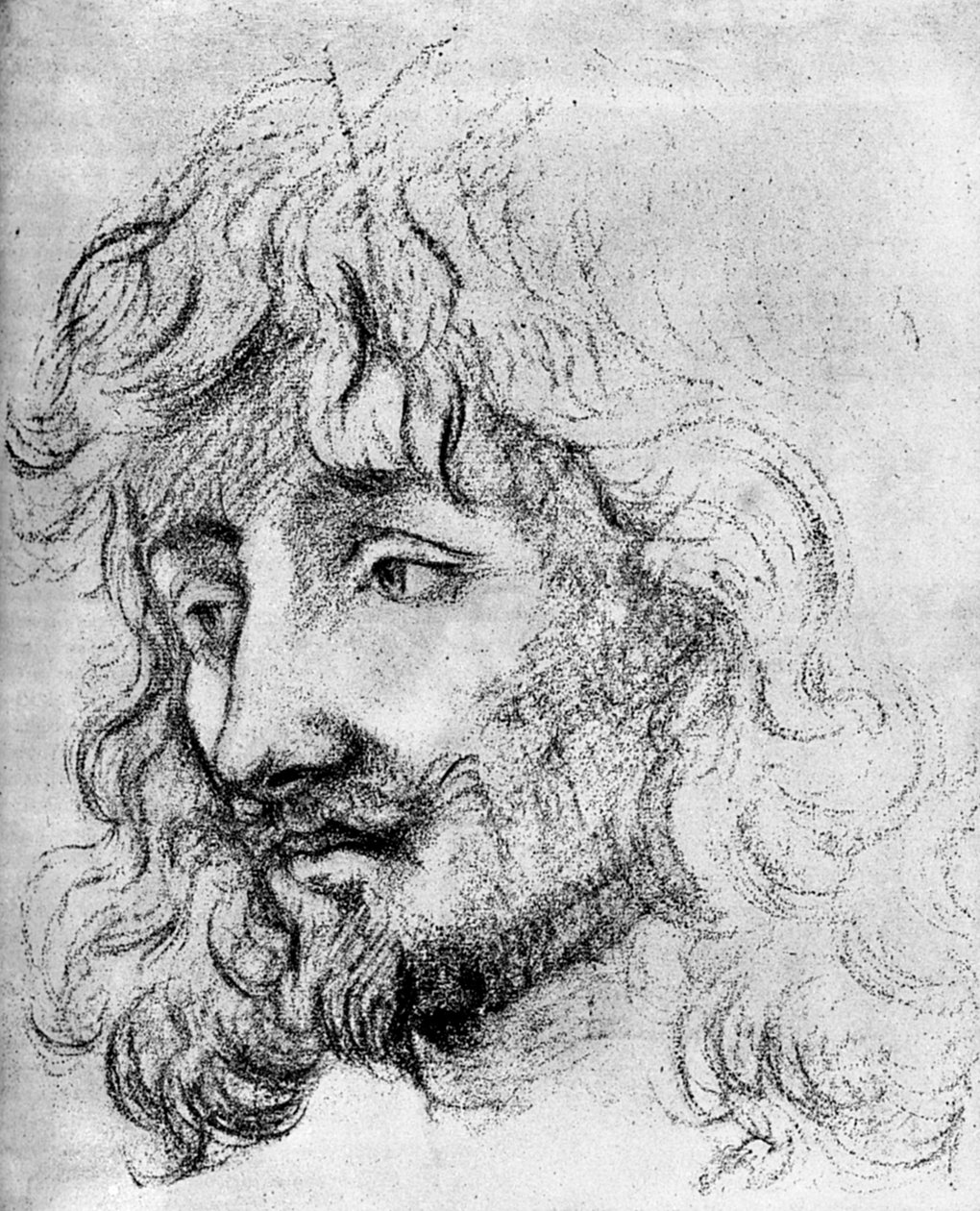 Study of a Head, 1600-tallet 1882 av Unbekannt