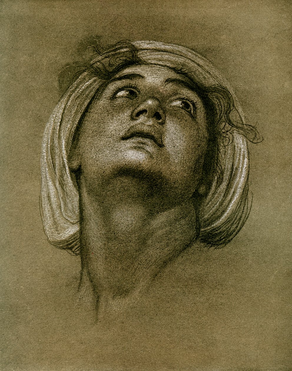 Studie av et hode, 1901 av Unbekannt