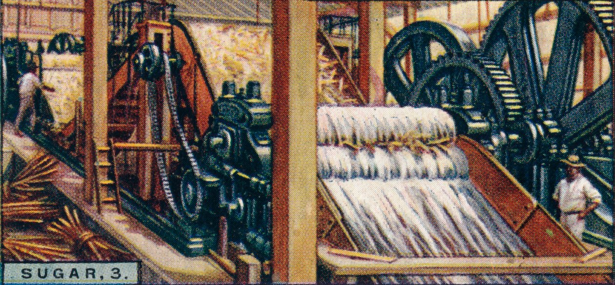 Sugar, 3. Crushing the Canes, Java, 1928 av Unbekannt