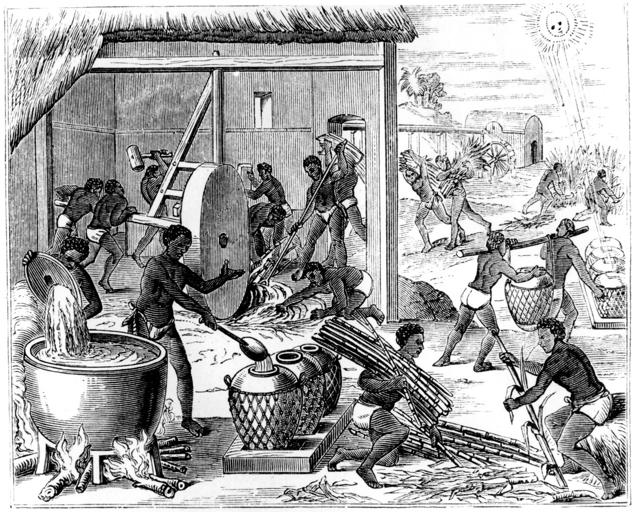 Sukkerproduksjon, 1873 av Unbekannt