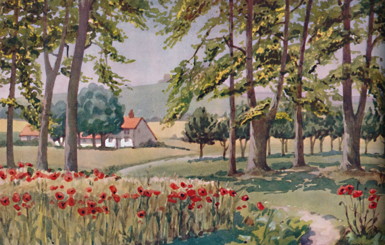Sommer - De fysiske, kjemiske og biologiske endringene som ble utført av solen i løpet av året, 1935 av Unbekannt