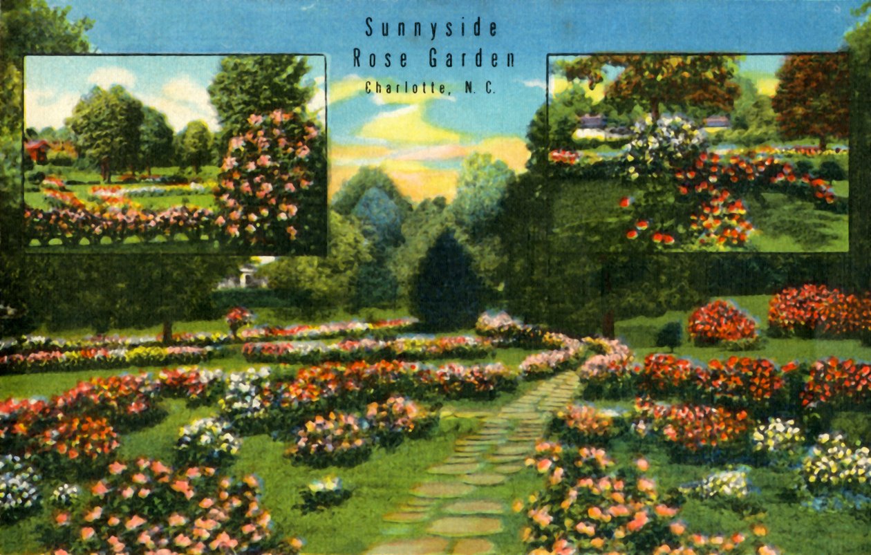 Sunnyside Rose Garden, Charlotte, N.C., 1942. av Unbekannt
