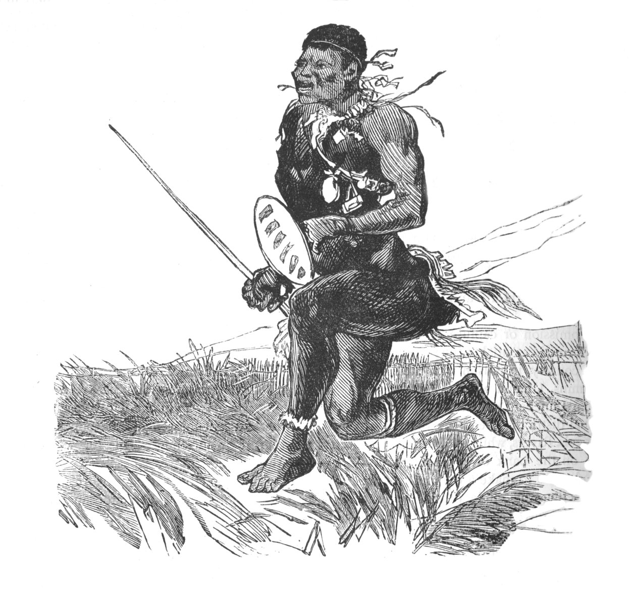 Swazi speider, ca 1880 av Unbekannt