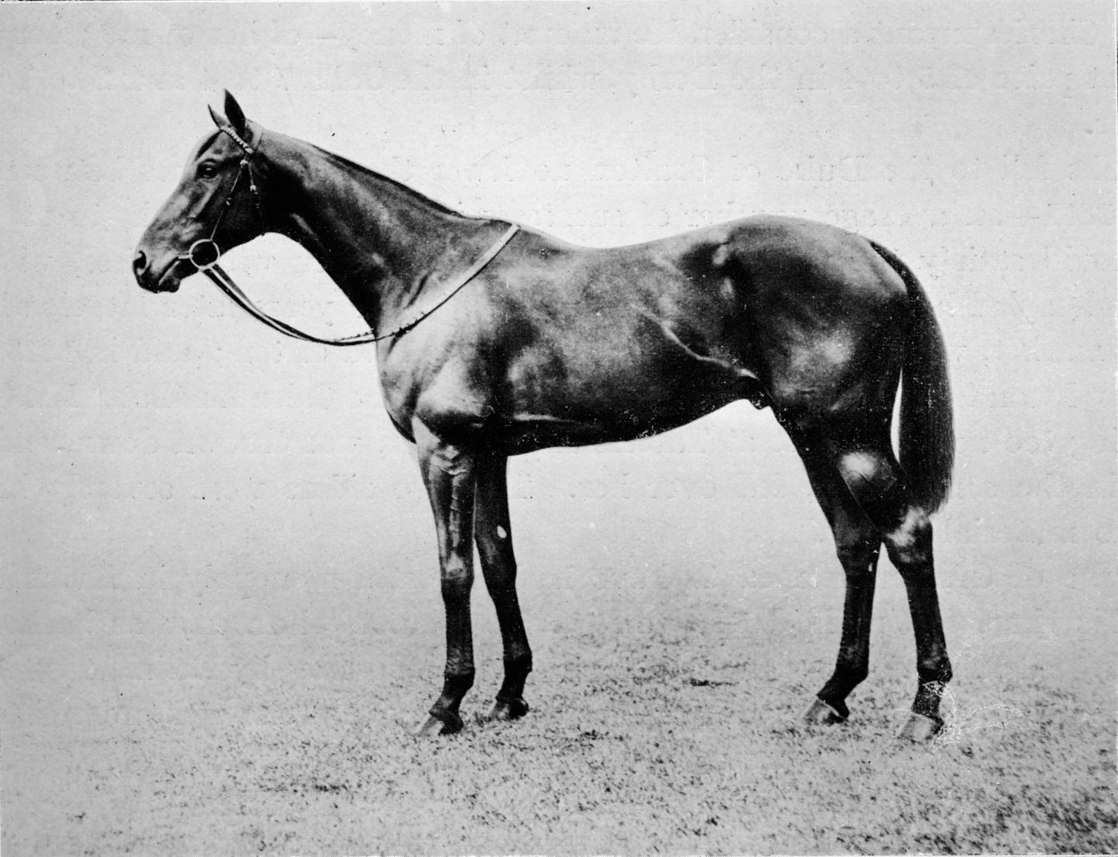 Swynford, 1907-1928, 1911 av Unbekannt