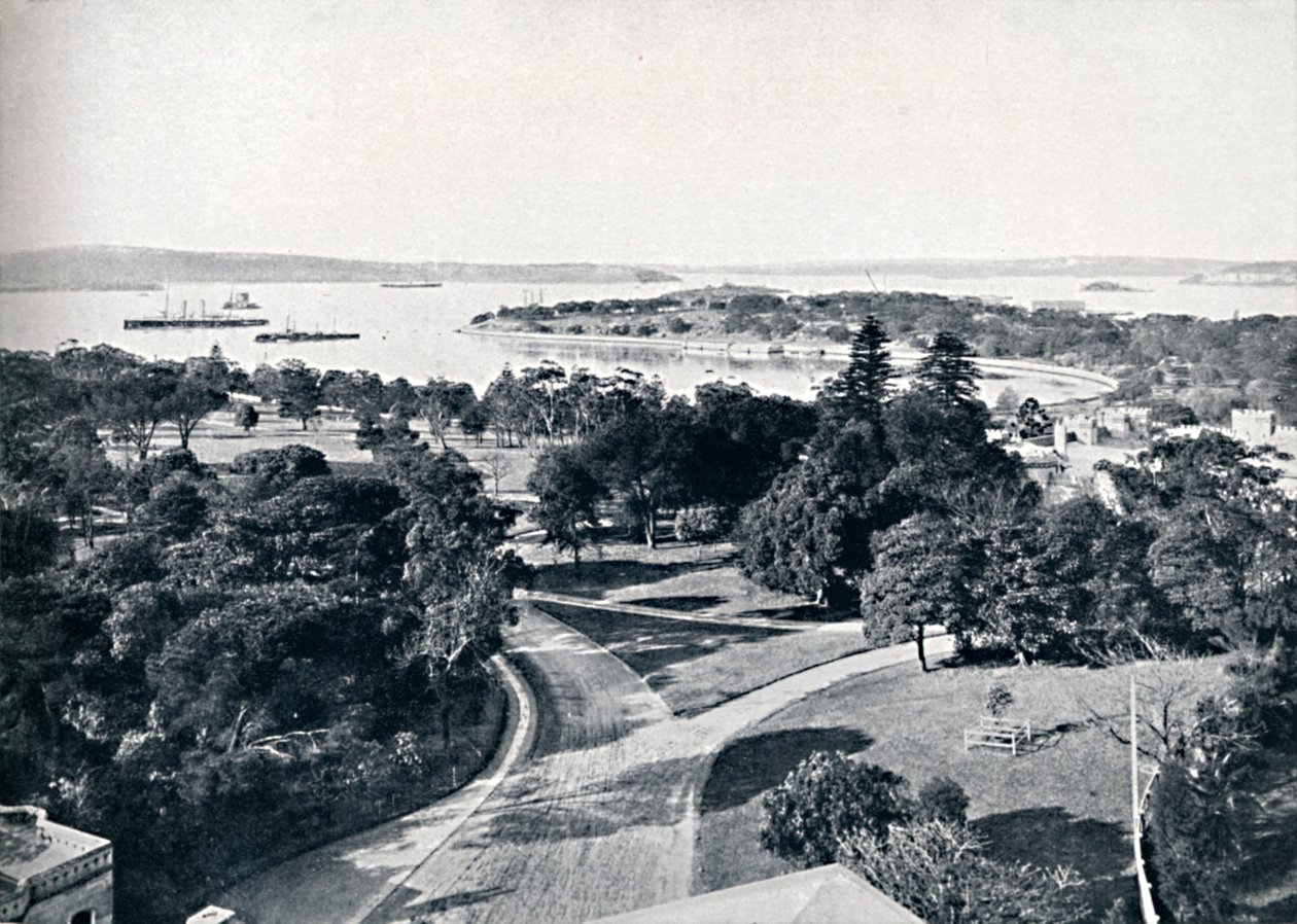 Sydney havn og botaniske hager, ca 1900. av Unbekannt