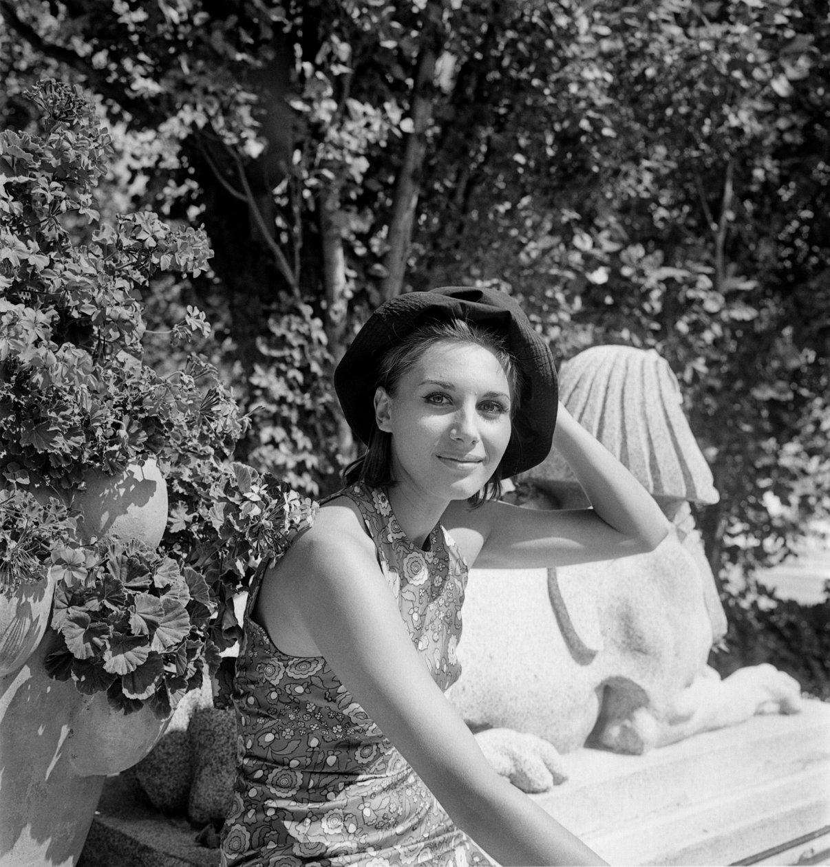 SKUESPILLEREN PAOLA PITAGORA VED DEN XXV INTERNASJONALE FILMFESTIVALEN I VENICE LIDO - 1964 av Unbekannt