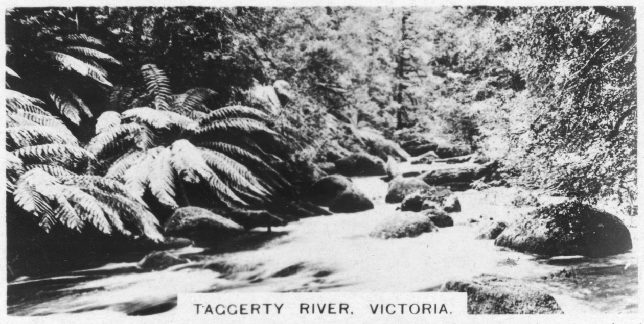 Taggerty River, Victoria, Australia, 1928 av Unbekannt