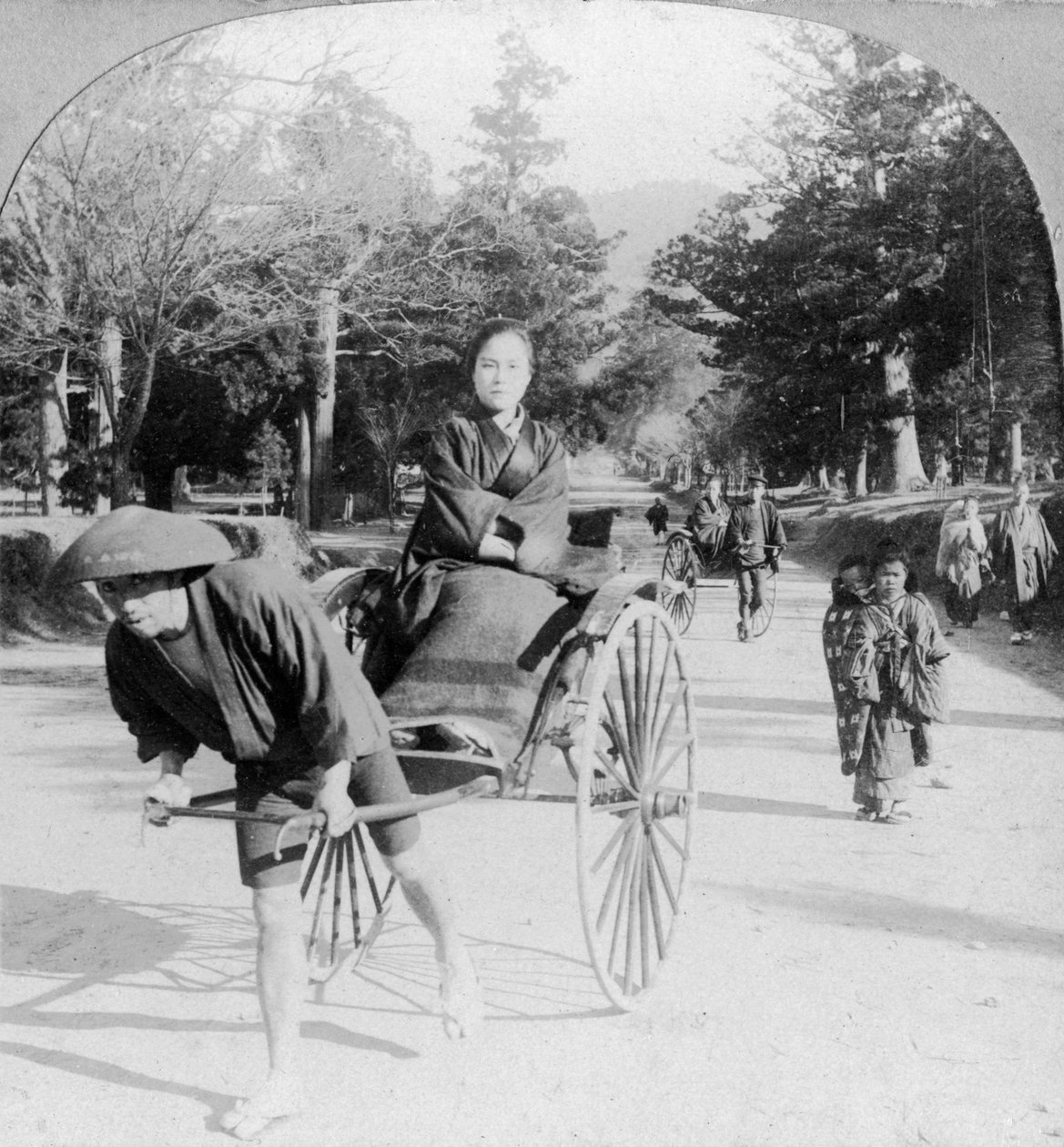 Ta en tur gjennom parken ved Nara, Japan, 1901 av Unbekannt