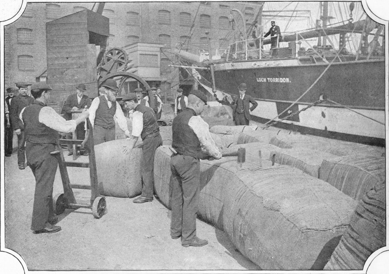 Tallying ullballer ved London Docks, c1900 1901 av Unbekannt