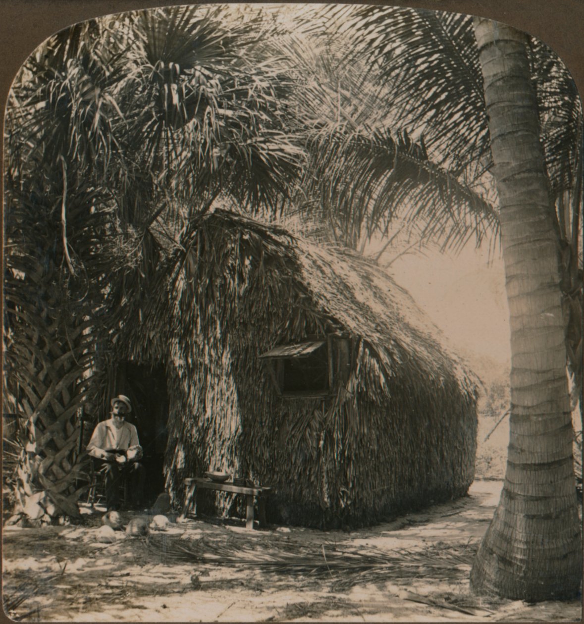 Thatched Cottage i Cocoanut Grove, Florida, U.S.A., c1900 av Unbekannt