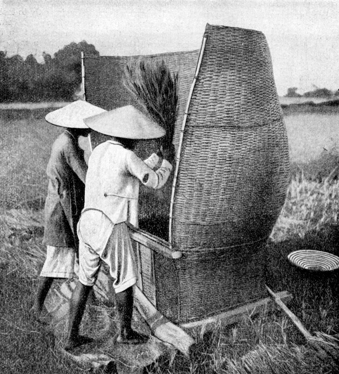 Den Annamesiske måten å høste og treske ris på, Annam, Vietnam, 1922 av Unbekannt
