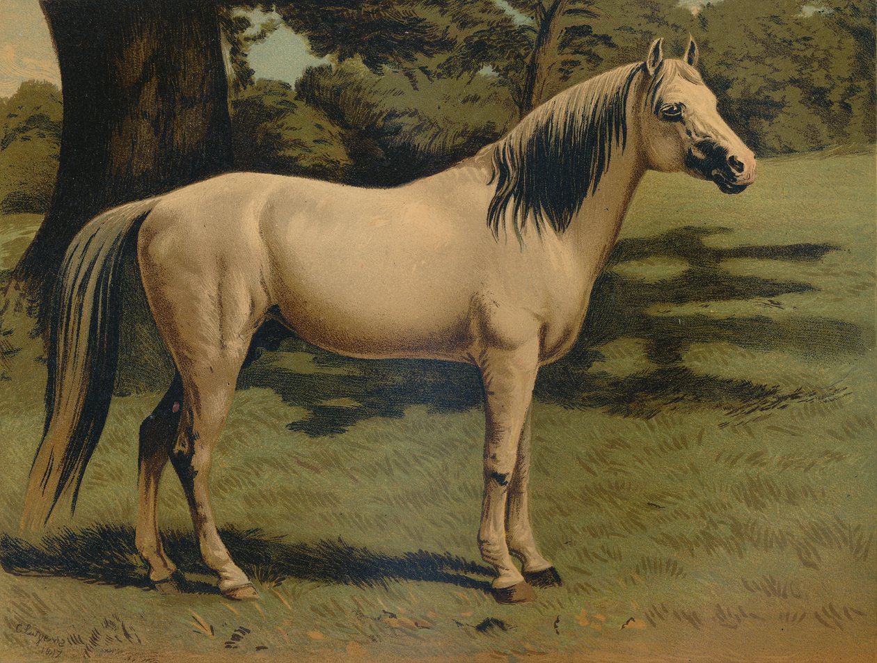 Den arabiske ponniladeren til general Sir Hope Grant, c1879. av Unbekannt