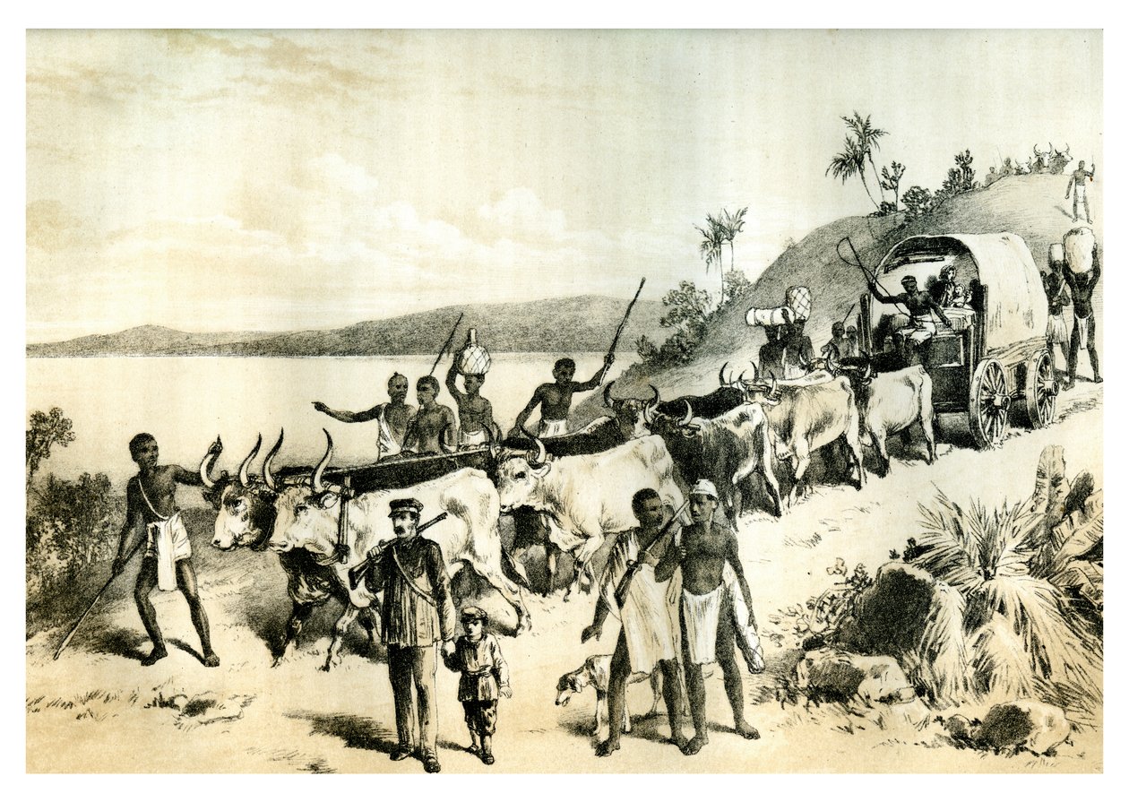 Ankomsten til Ngami-sjøen, 1883 av Unbekannt