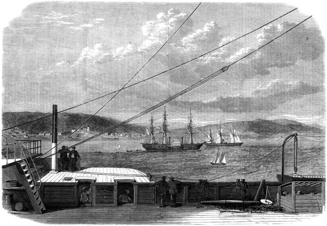 Den atlantiske telegrafekspedisjonen, Content Bay, Newfoundland, 1866 av Unbekannt