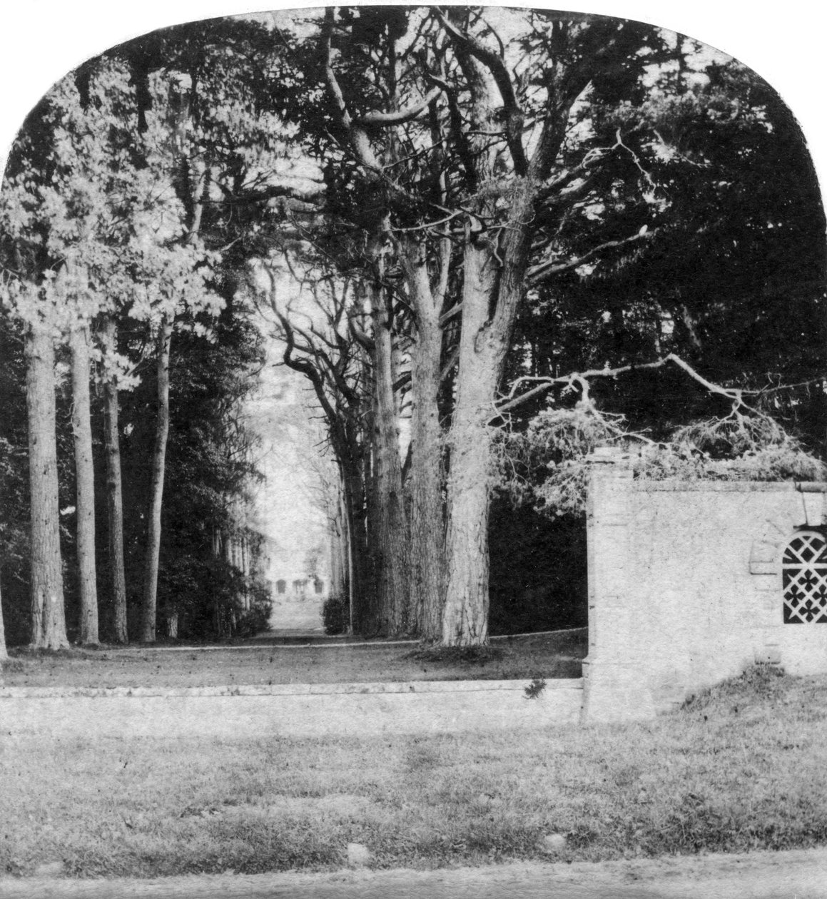 The Avenue, Guys Cliff, Warwick, tidlig på 1900-tallet av Unbekannt