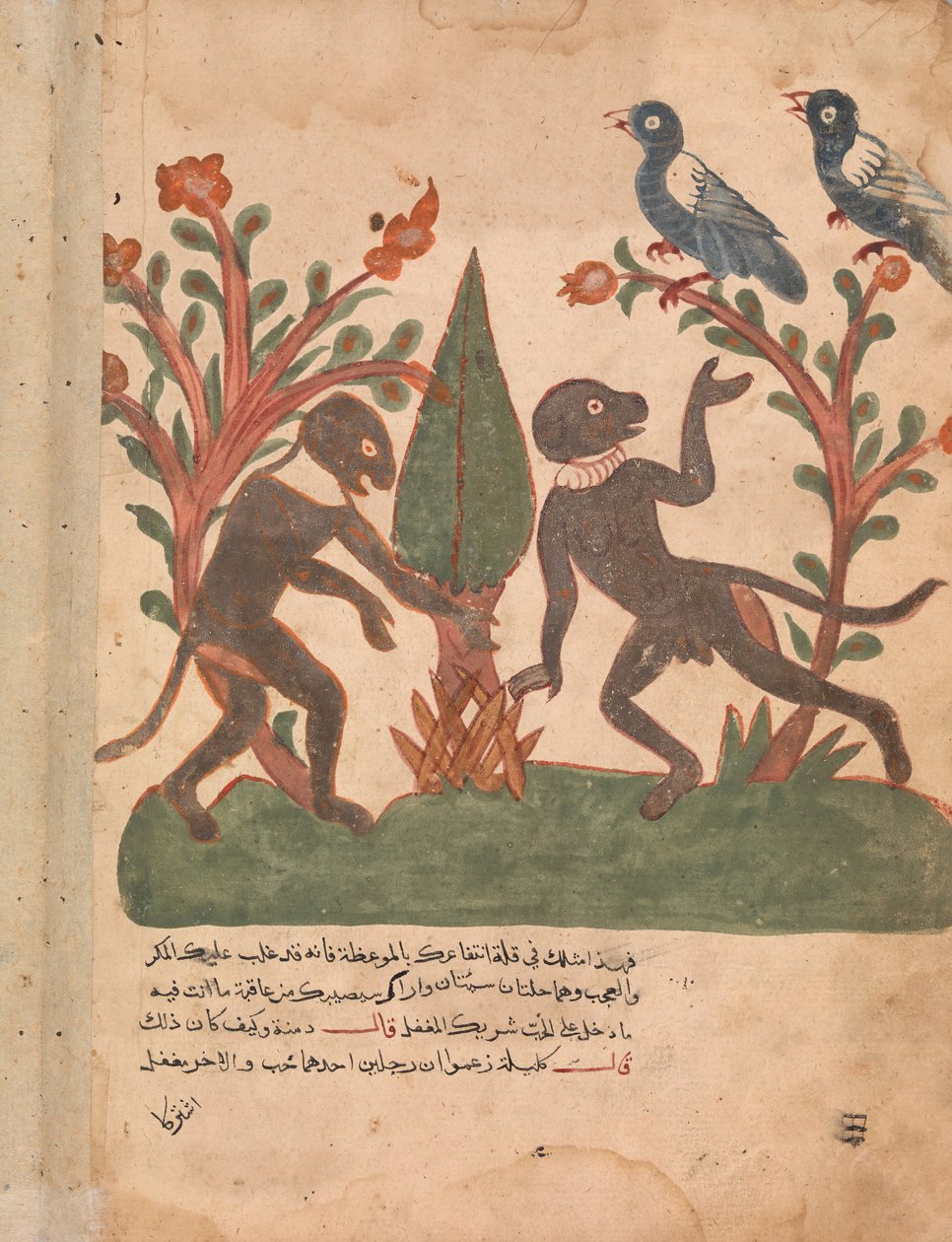 Fuglene og apene med glødormen, Folio fra en Kalila wa Dimna, 1700-tallet. av Unbekannt