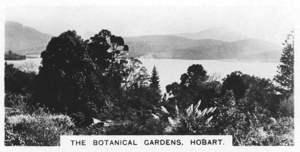 Den botaniske hagen, Hobart, Tasmania, 1928 av Unbekannt