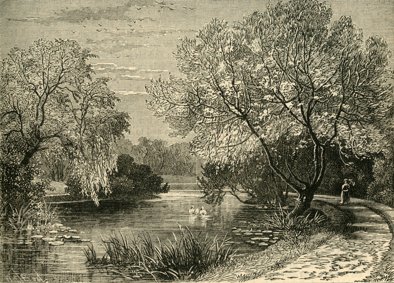 Den botaniske hagen, Regents Park, c1876. av Unbekannt