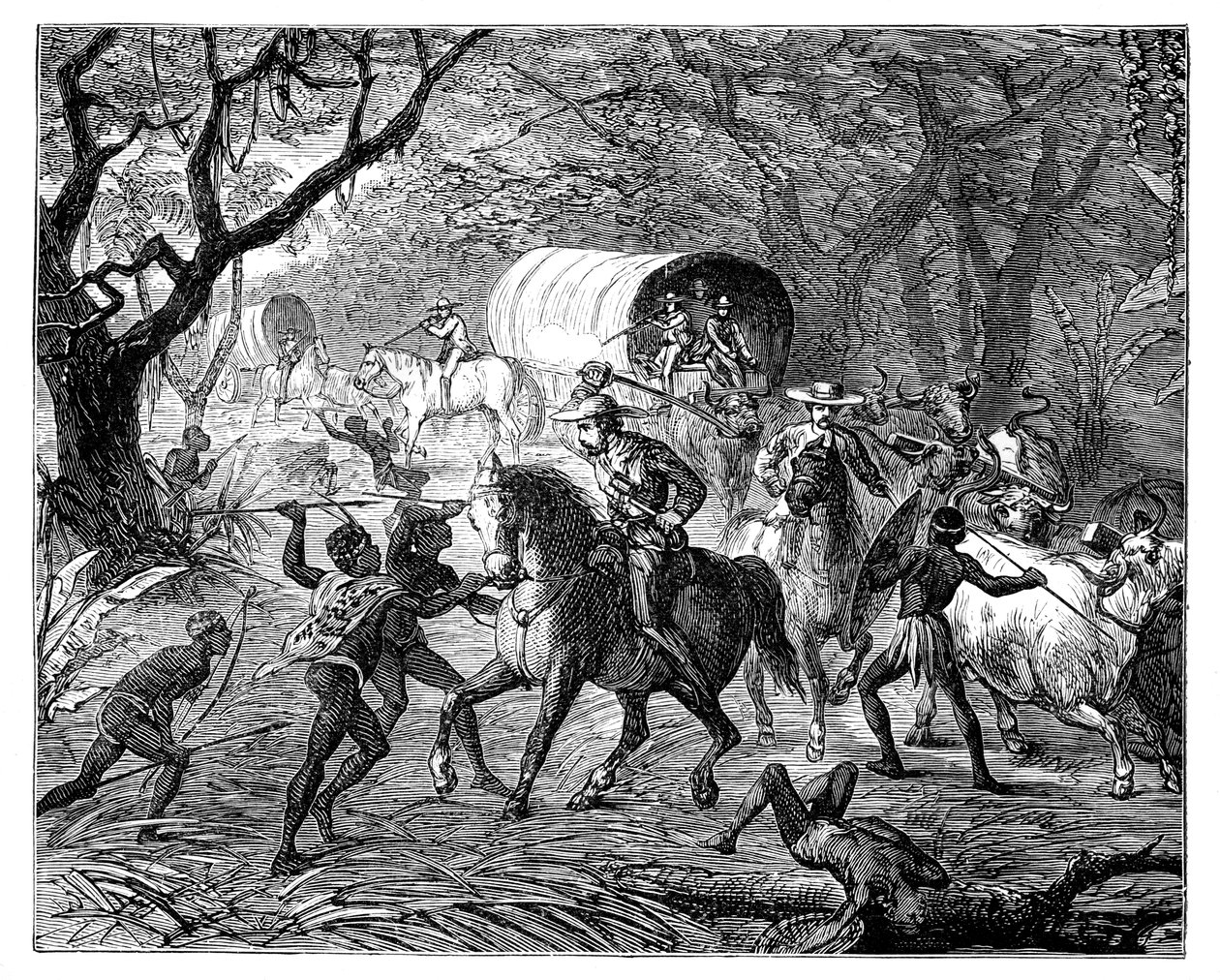 Caffre-krigen: Innfødte angriper en konvoi, 1800-tallet av Unbekannt