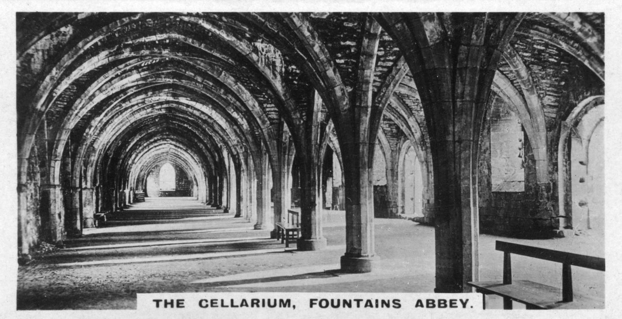 The Cellarium, Fountains Abbey, Yorkshire, ca 1920-tallet av Unbekannt