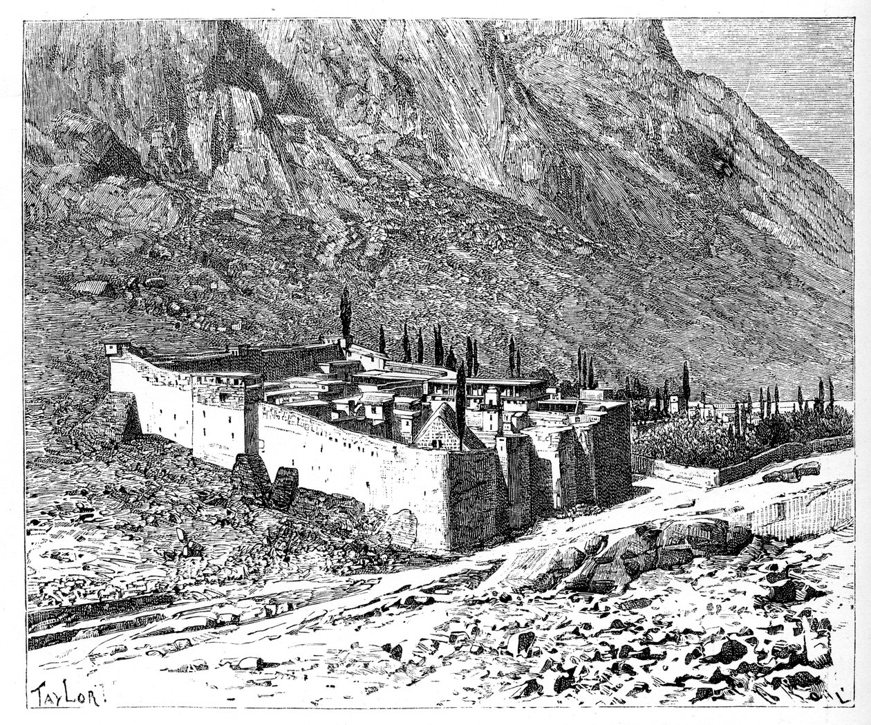 The Convent of St Catherine, Mount Sinai, Egypt, 1895 av Unbekannt