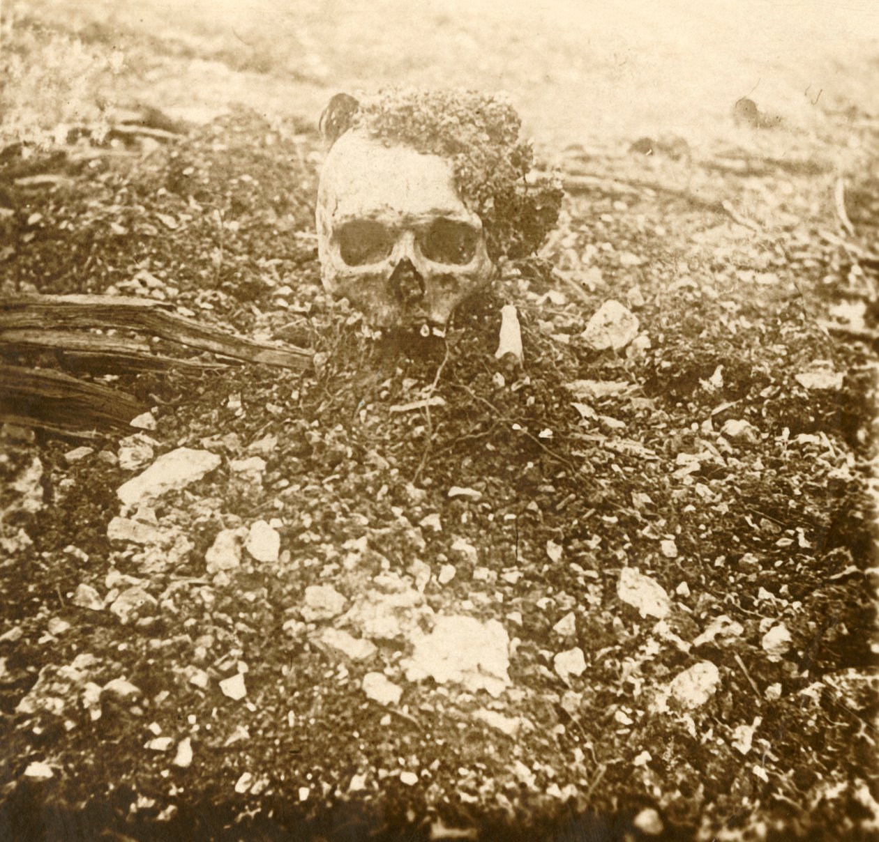 Kronprinsen, Verdun, Nord-Frankrike, 1916 av Unbekannt