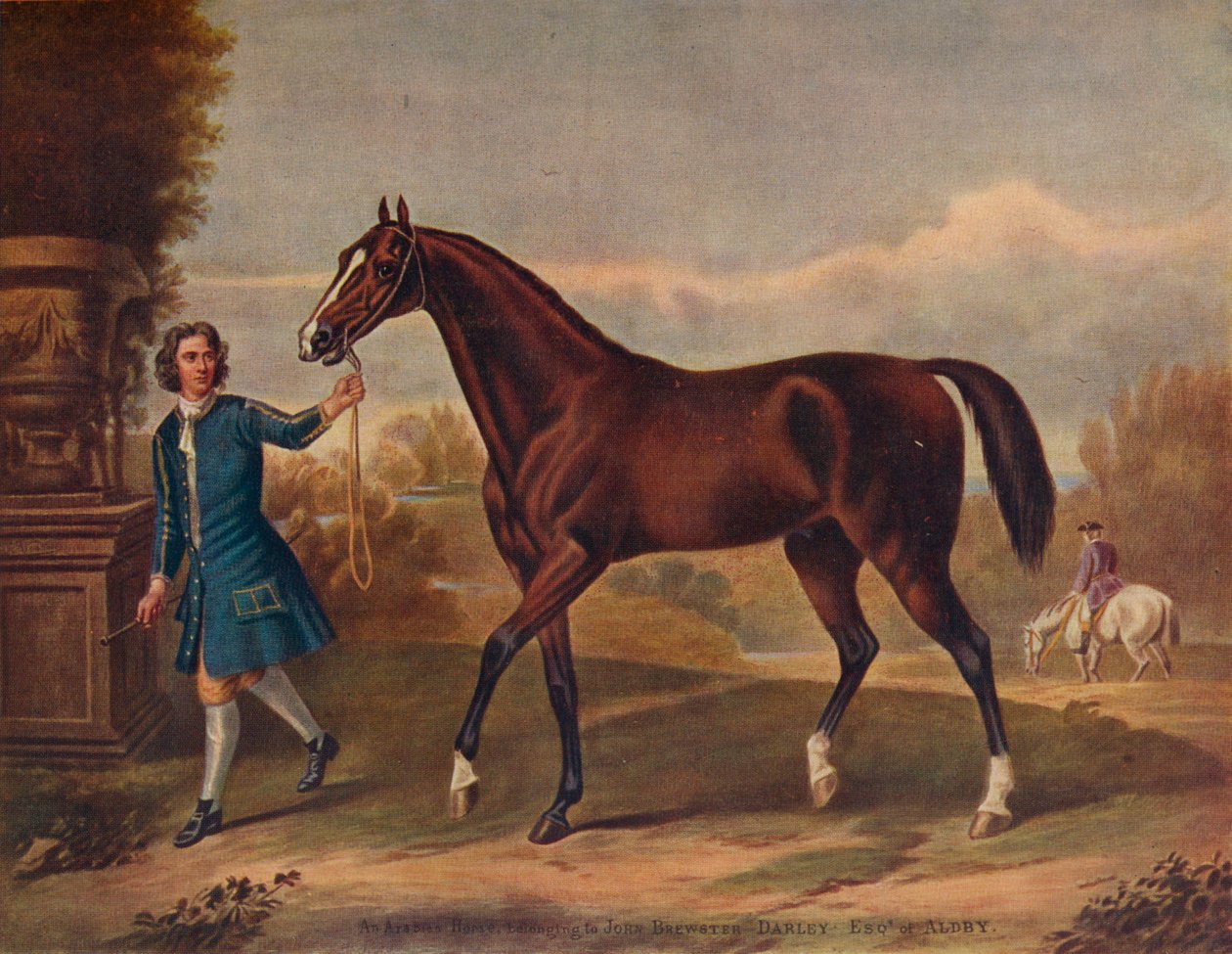 The Darley Arabian, c1720, 1922 av Unbekannt
