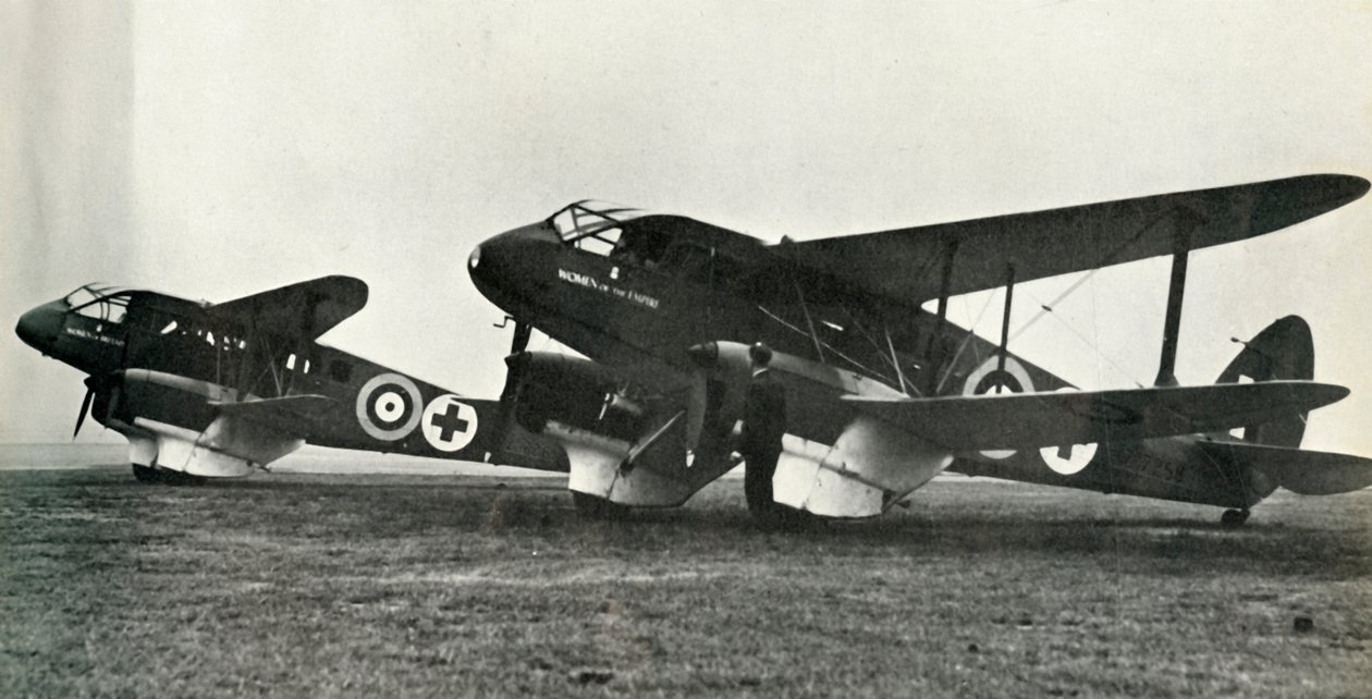 De Havilland Ambulance, 1941. av Unbekannt