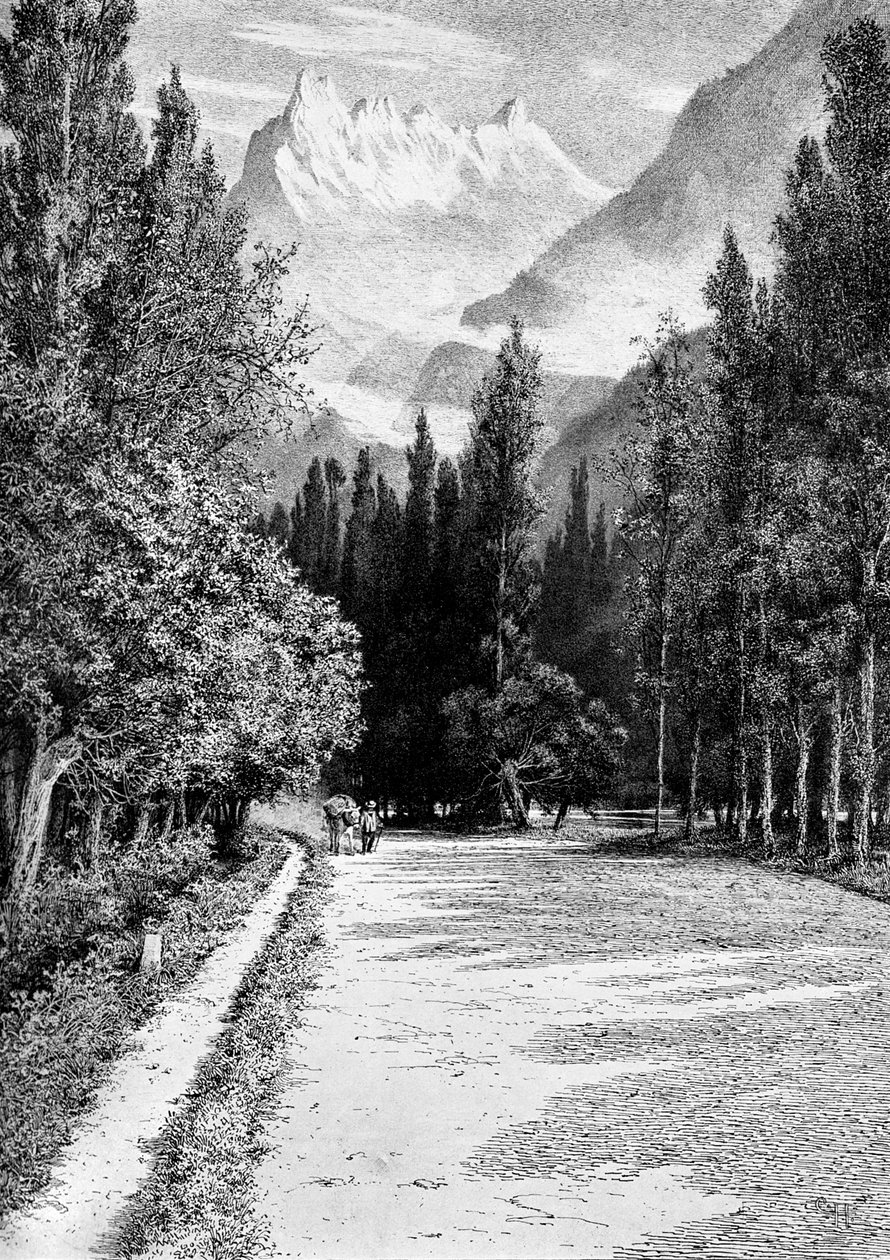 Dent du Midi fra Rhônedalen, 1900 av Unbekannt