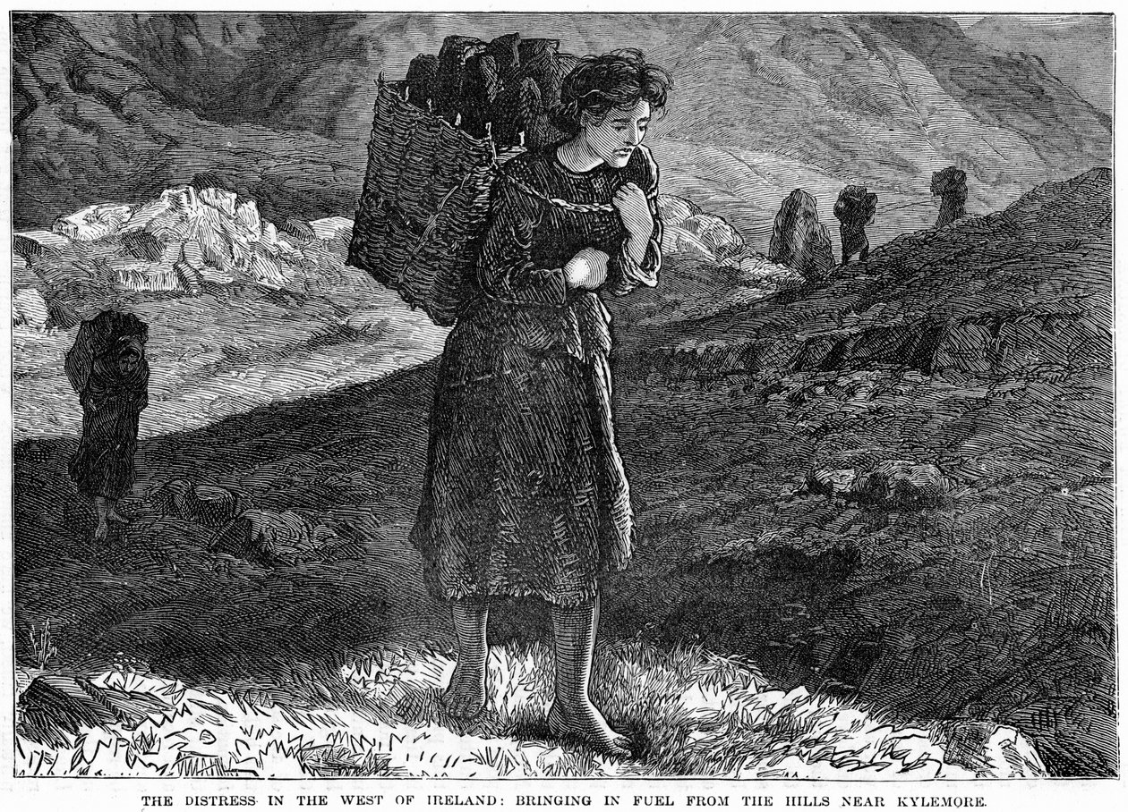 The Distress in the West Ireland: Bringing in Fuel from the Hills near Kylemore, 1800-tallet av Unbekannt