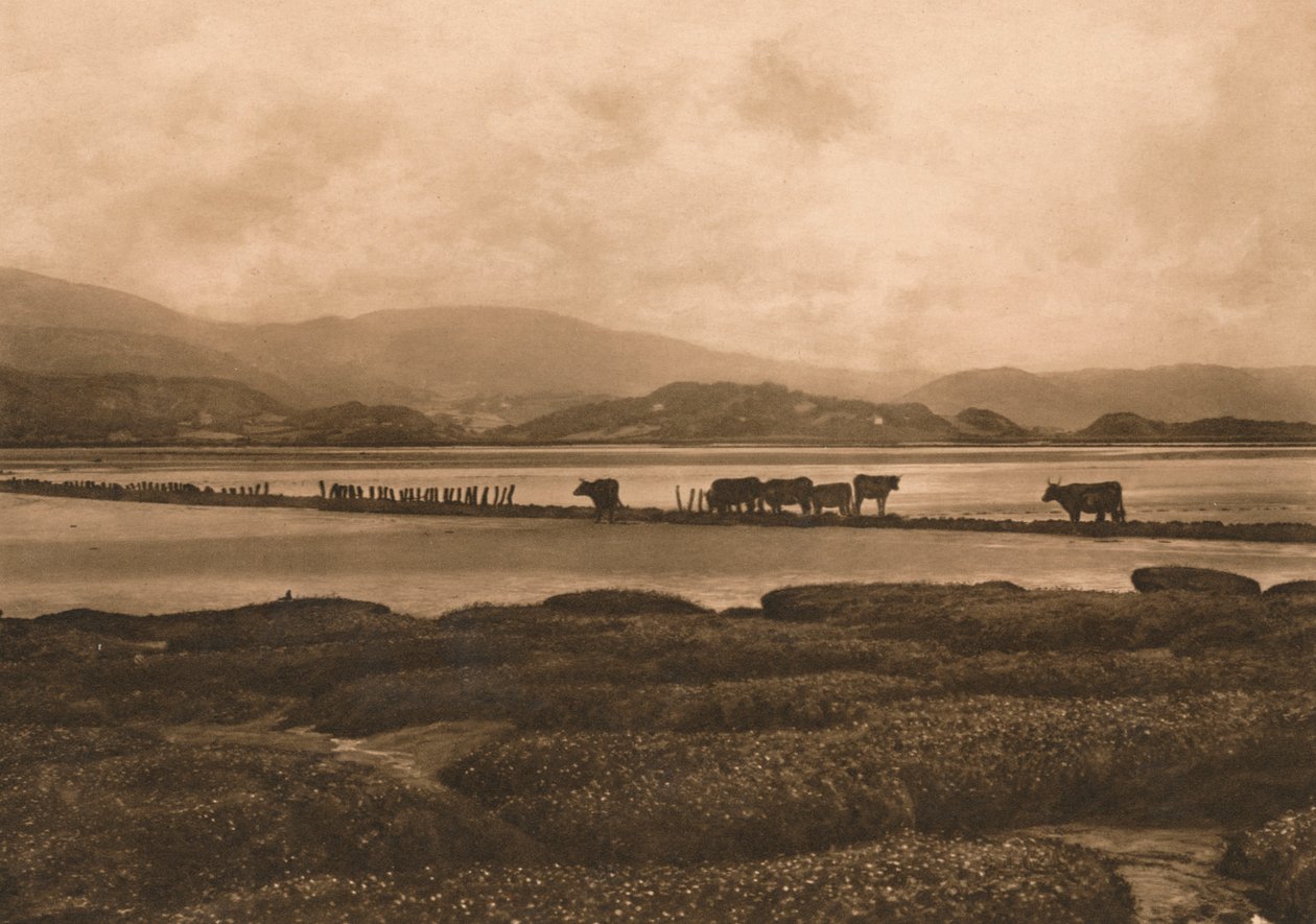 The Dovey at Ynyslas, 1902 av Unbekannt