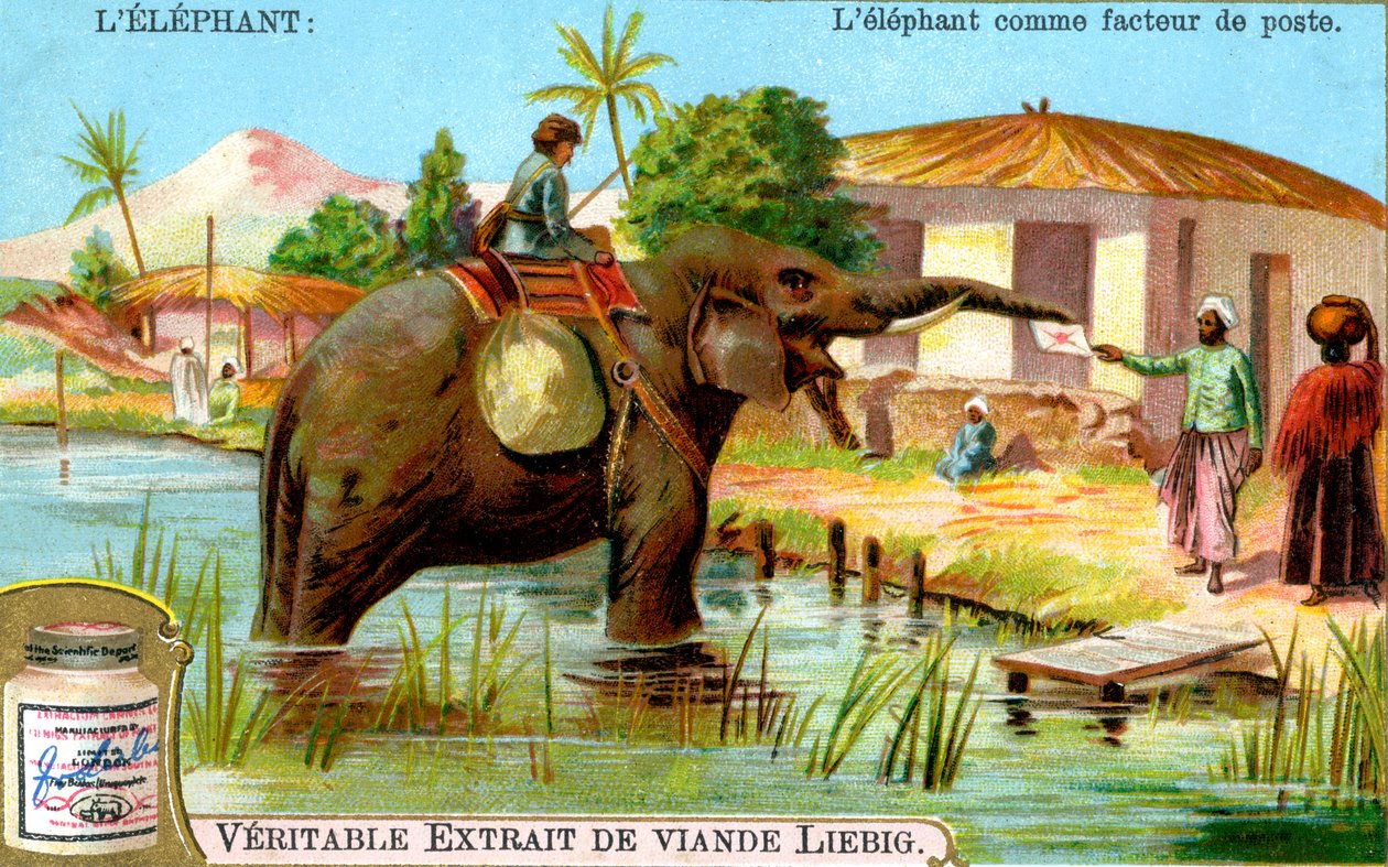 Elefanten som postmann, ca 1900 av Unbekannt
