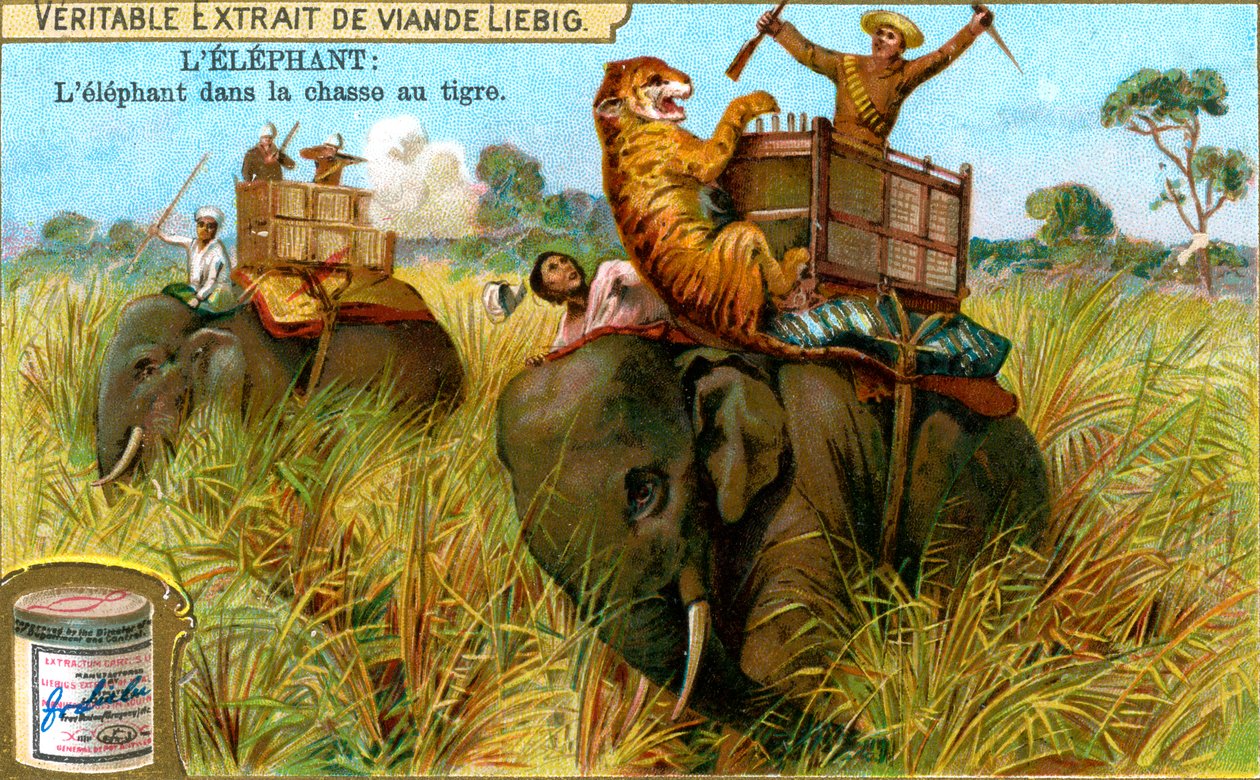 Elefanten på tigerjakt, ca 1900 av Unbekannt