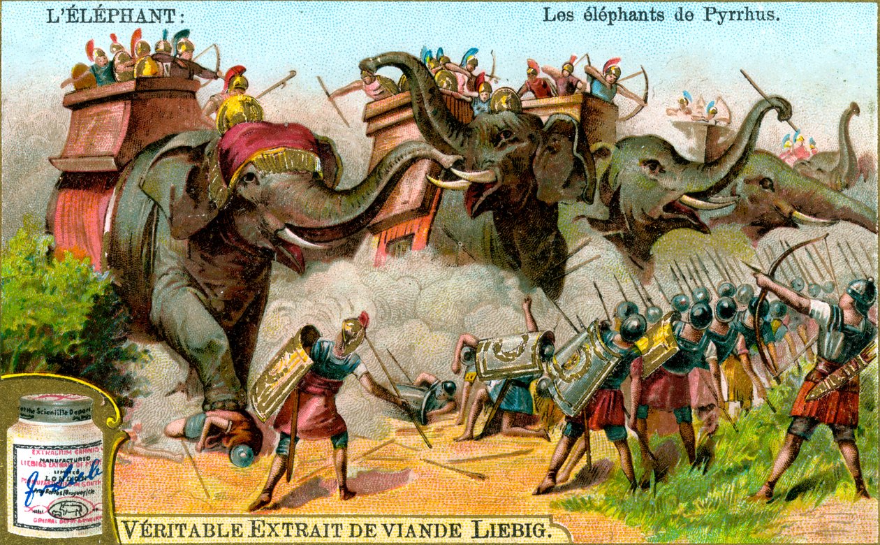 Elefantene fra Pyrrhus, ca 1900 av Unbekannt