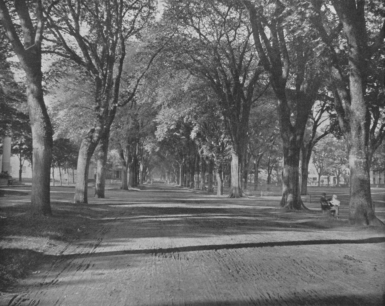 The Elms, New Haven, Connecticut, USA, c1900. av Unbekannt