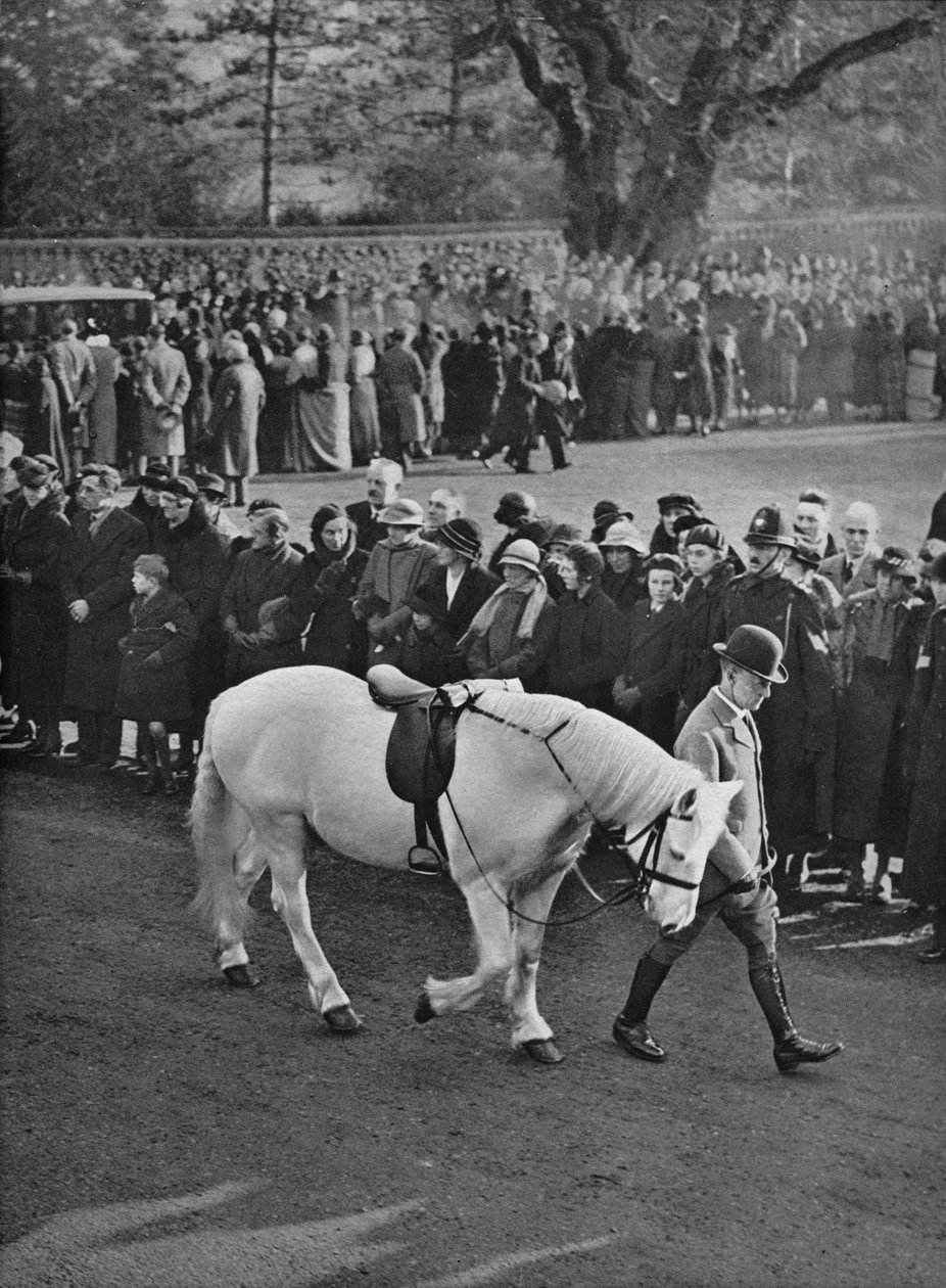 The Empty Saddle: King Georges hvite ponni, Jock, ledet i prosesjon, 1936 av Unbekannt
