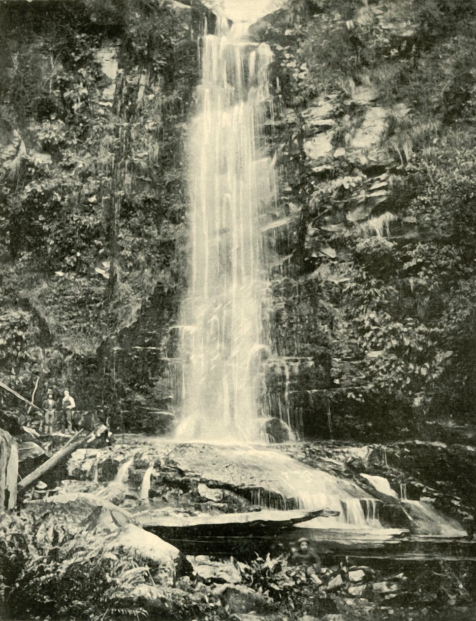 Erskine Falls, nær Lorne, 1901. av Unbekannt